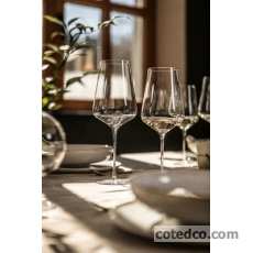 Coffret 2 Verres à pied 728ml & 269mm ( Bordeaux)