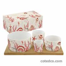 Set 4 bols + plateau bambou